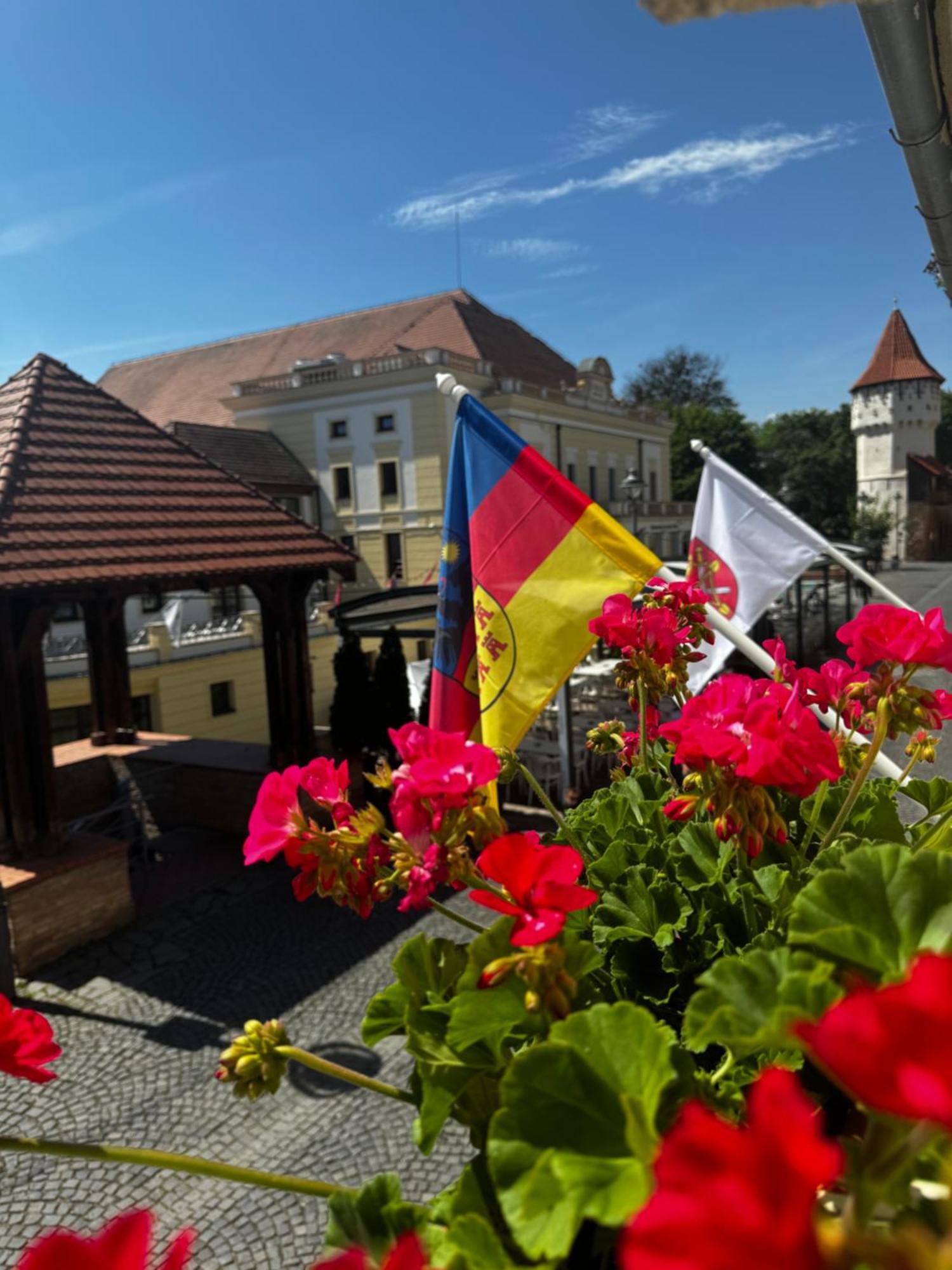 Harteneck Apartments Sibiu Extérieur photo